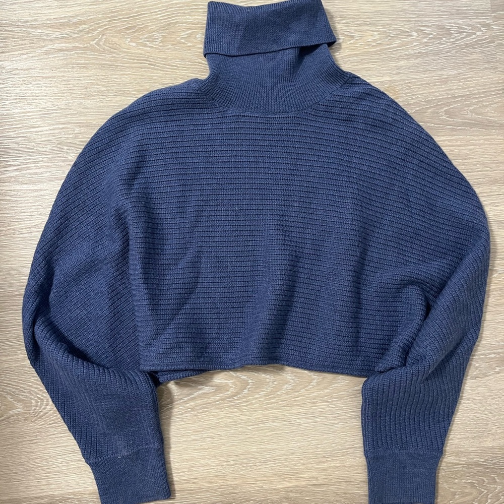 Aritzia Wilfred Turtleneck Sweater